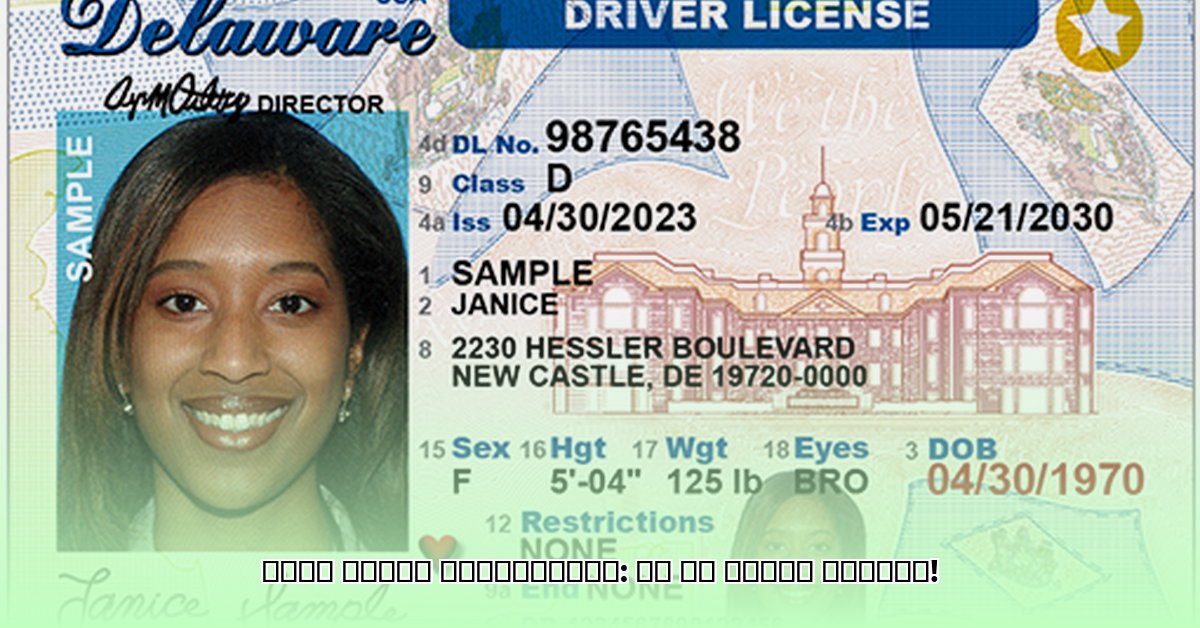 driver-s-license